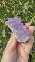 Load and play video in Gallery viewer, Natural Amethyst Cluster | Raw Crystal Specimen | Sparkling Lavender Quartz,A192
