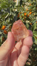 Load and play video in Gallery viewer, Red Mud Skeletal Quartz Crystal Point ,Red Mud Quartz,#986
