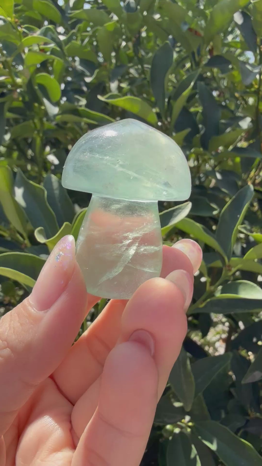 Small Green Fluorite Mushroom Carving-Fluorite Gemstone Mushroom,A140