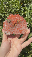Load and play video in Gallery viewer, Red Quartz with Chalcopyrite from Jiangxi, China,Hematite Included,A91
